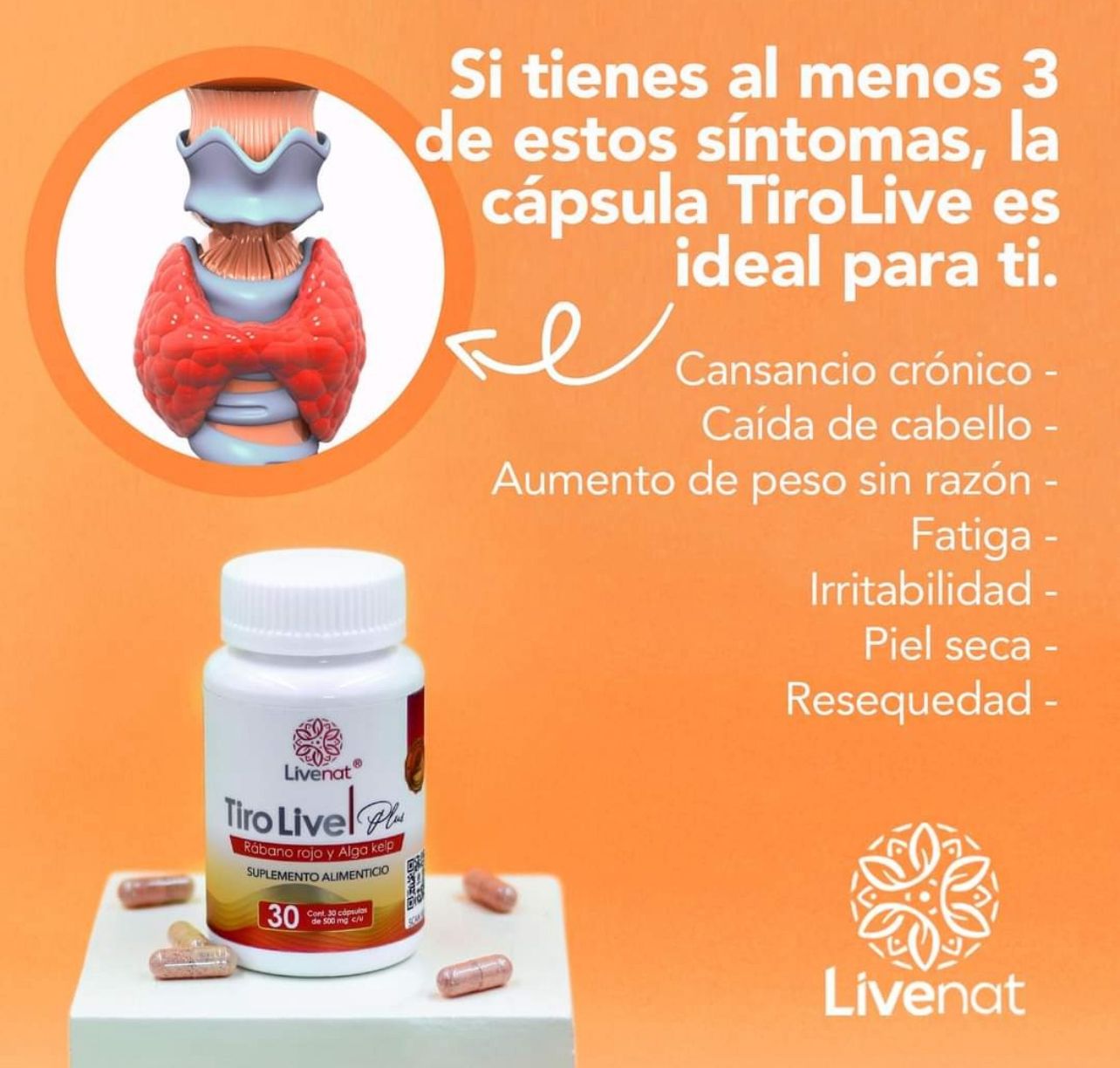 tirolive tirolive